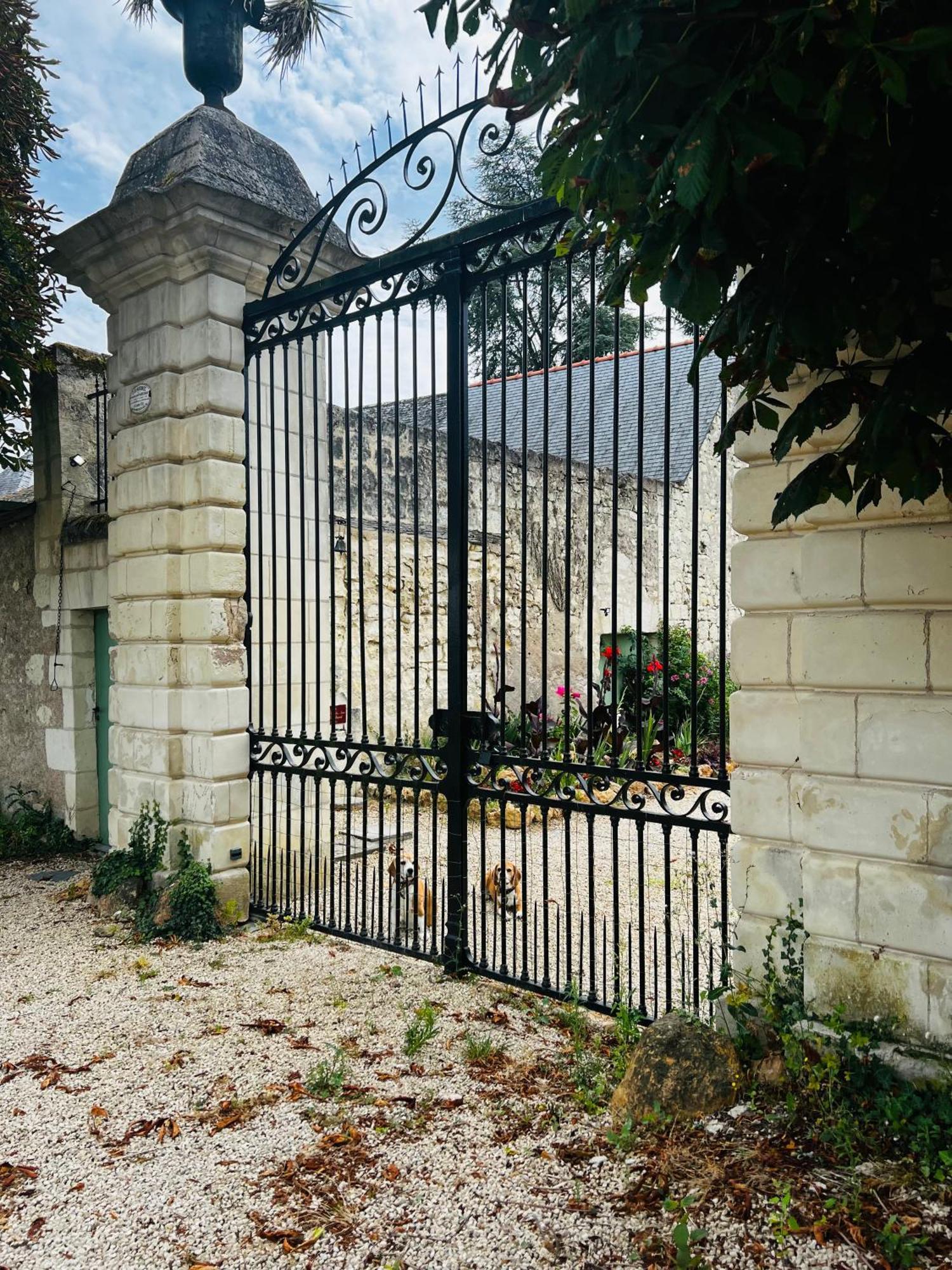 Chateau De La Thibaudiere Bois Savary - Chambre Familiale Du Roi Allonnes  Eksteriør bilde